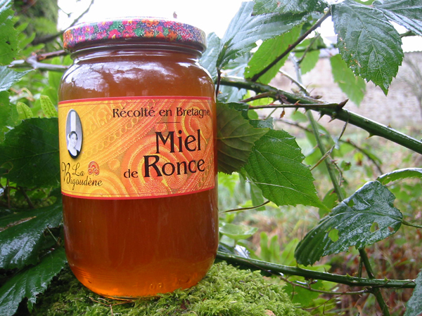 Miel de Ronce 500g