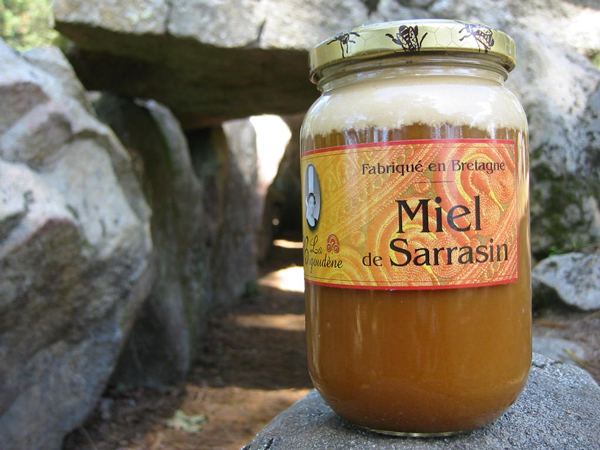 Miel de Sarrasin / Blé Noir 500g