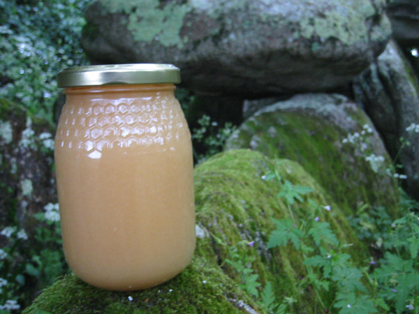 Brittany Honey 500G