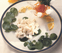 Salade de calmars au cresson