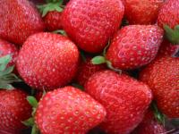 Fraises Gourmandes